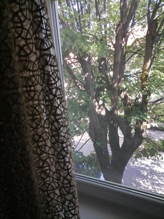 Apartmani 15 Τσέτινιε Εξωτερικό φωτογραφία